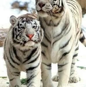 Meet your Posher, Marina